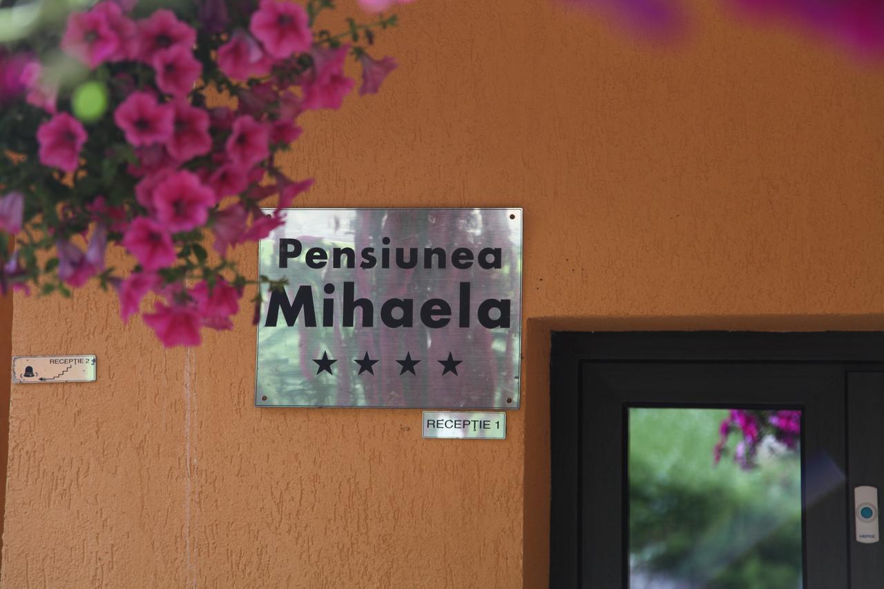 Pensiunea Mihaela Poiana Brasov Eksteriør bilde